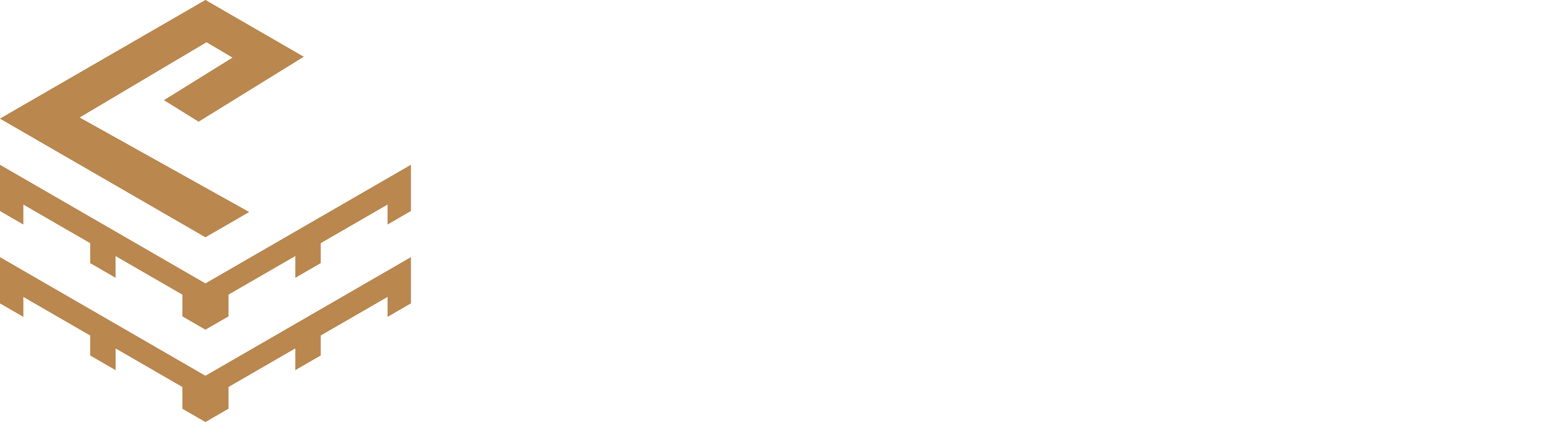 Paletix Logo
